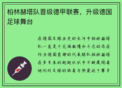 柏林赫塔队晋级德甲联赛，升级德国足球舞台